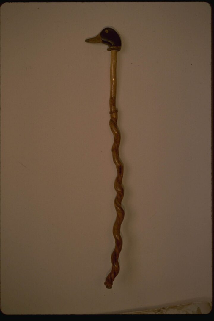 Cane From Vine